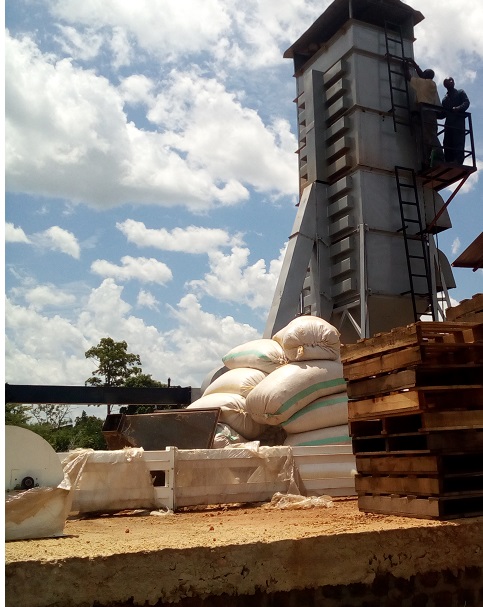 GRAIN DRYER CAP 5TONS